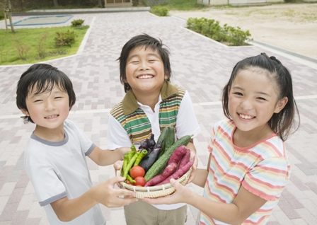 A cor viva dos alimentos organicos atrai a atenção das crianças